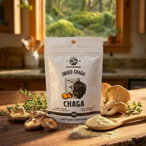 Bag of dried chaga mushrooms on a wooden surface with chaga pieces and powder.